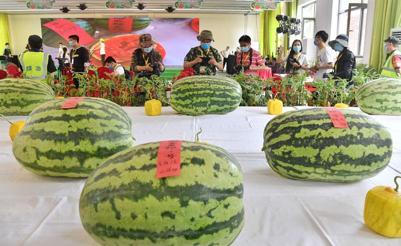 微信图片_20200601133756_副本