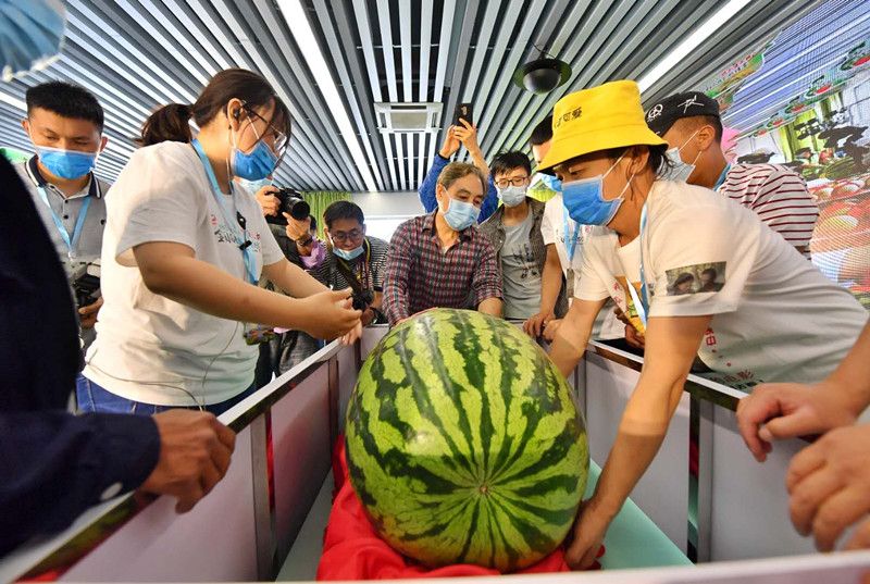 微信图片_20200601133721_副本