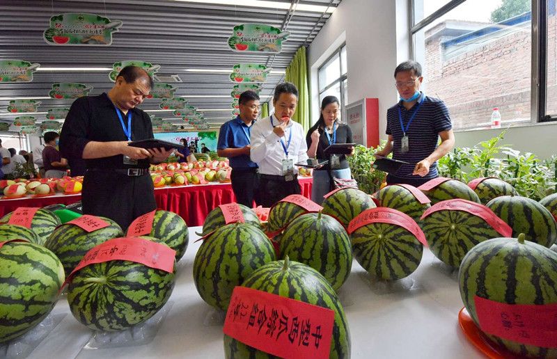 微信图片_20200601133750_副本