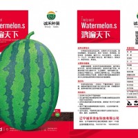 鸿遍天下 大甜王