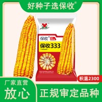 厂家直营批发高产杂交大田玉米种子保收333