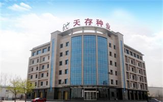 河南天存种业科技有限公司