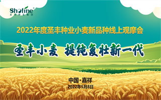 圣丰种业小麦新品种线上观摩会成功举行！