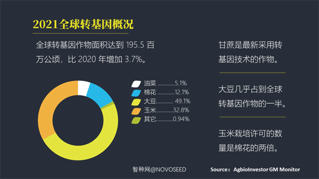 红粉宝宝现状2021图片