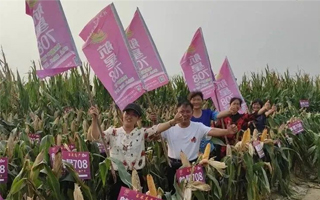 【名企】河南省天中种子有限责任公司