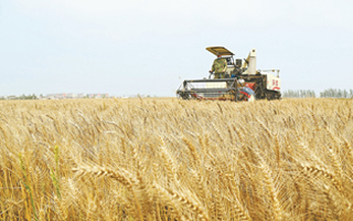 2023年安徽省主要农作物品种审定第一批公告