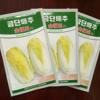 金福玉娃娃菜种子韩国高山娃娃菜品种