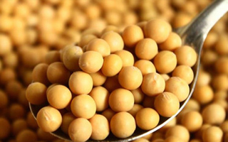 辽宁省大豆品种审定标准（2024年修订）