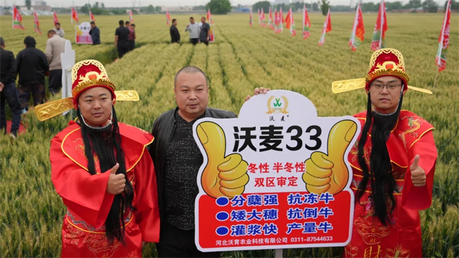 周口李飞最新图片