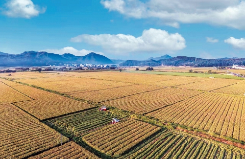 20240612_006_05_100426