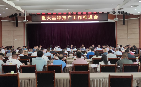 2024年6月7日李宇飞党组参加农业农村厅重大品种推广工作推进会(习玲拍摄)