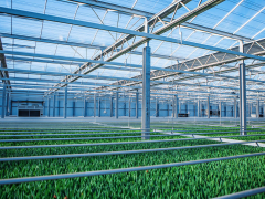 山东温室大棚展 /2026山东济南温室大棚技术与设备博览会