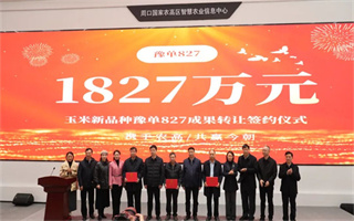 1827万！玉米新品种“豫单827”成果转让签约仪式在周口国家农高区成功举行