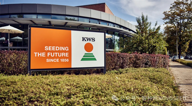 不卖一滴农药的KWS种业的生存法则(图1)