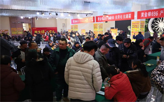 现场订购8260亩!黄金棒696市场启动会在西平举行