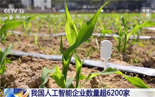 从能源到育种 我国人工智能企业数量已超6200家