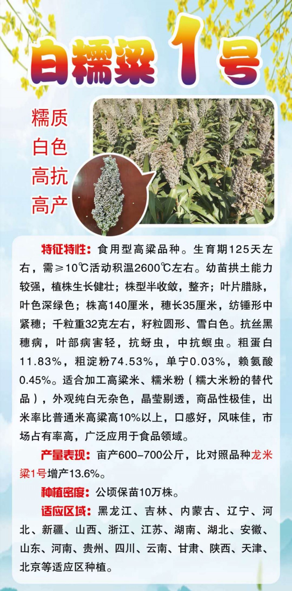 微信图片_20260324065837_15_2