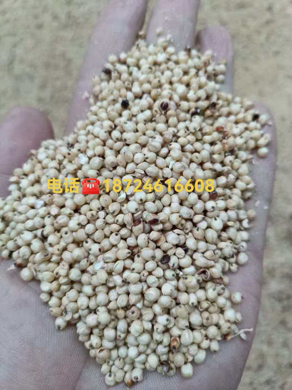 微信图片_20260324063858_7_2