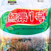 笤帚苗种子小矮人笤帚苗种子红帚1号笤帚高粱种子