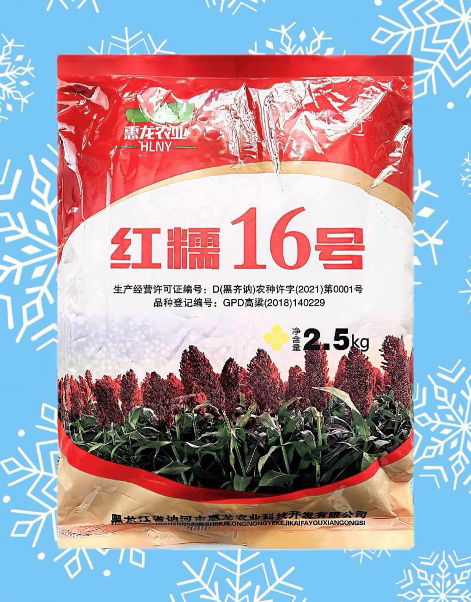 微信图片_20260324070933_17_2