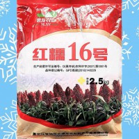 红糯16号高粱种子