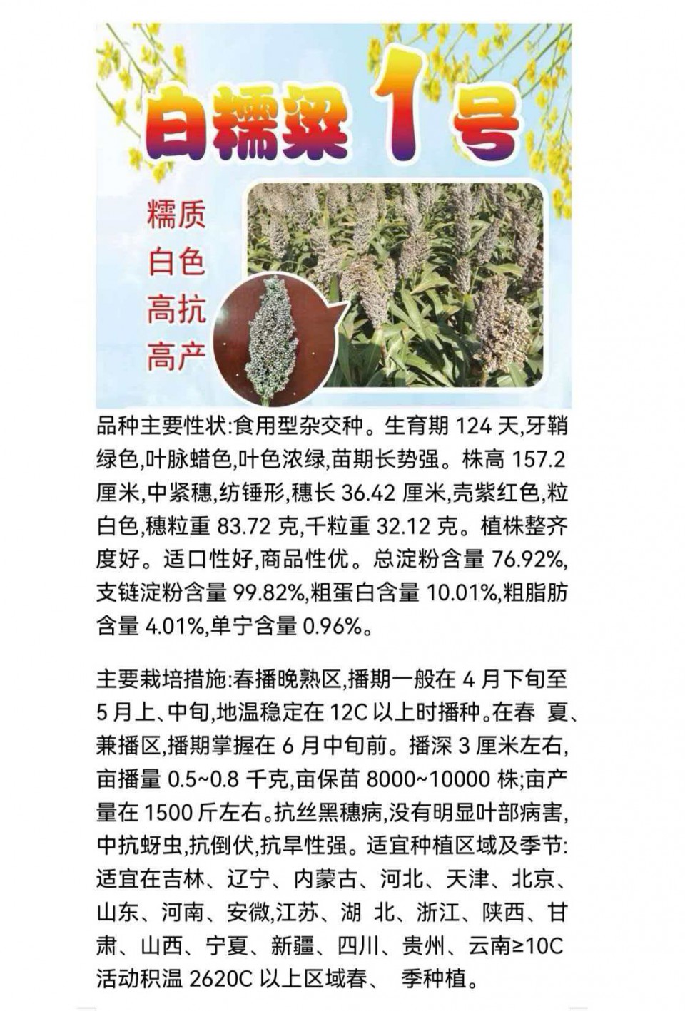 微信图片_20260405173911_51_35