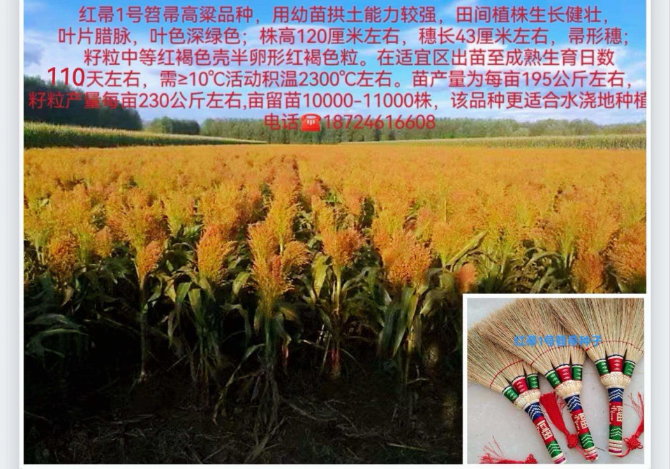 微信图片_20260331184231_26_35