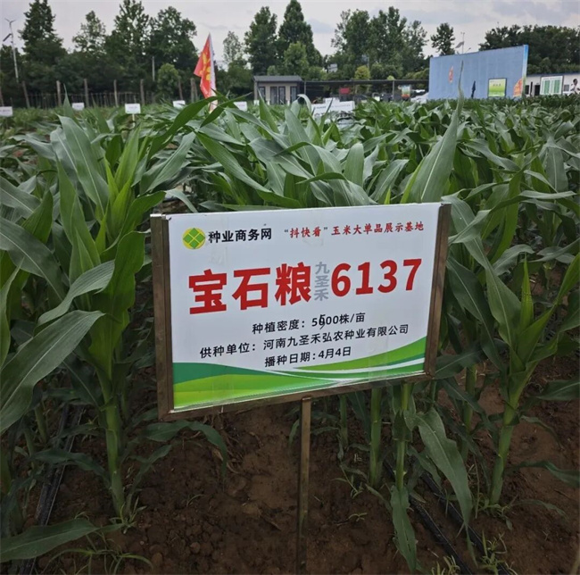 640 (2)