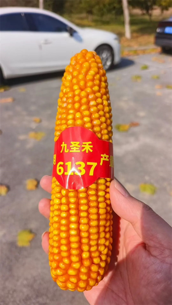 640 (5)