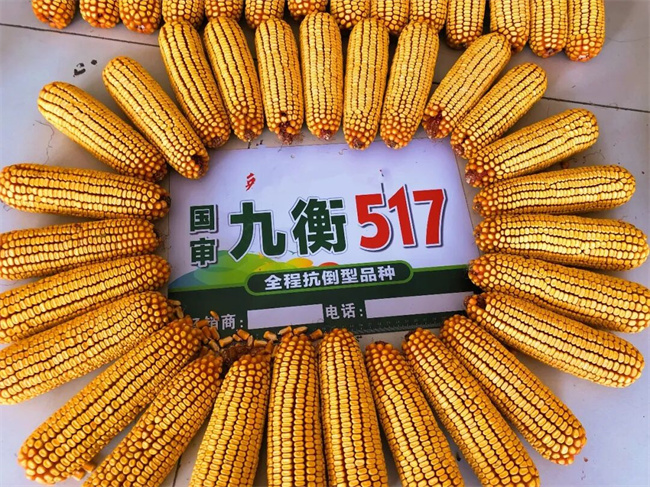 640 (8)