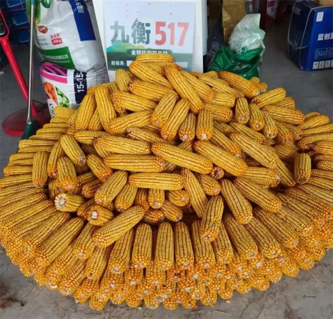 640 (9)