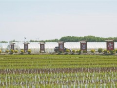 崖州湾国家实验室签约绥化    携手种好农业“芯”