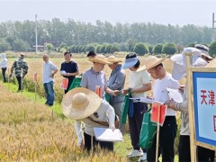 天津|开展多渠道试验检查 严把品种审定“试验关” (ͼ)